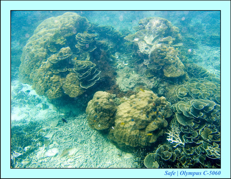 2008 - 07 - Redang - 017